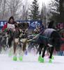 Ryan Redington in the 2018 Beargrease. Photo by CJ Heithoff